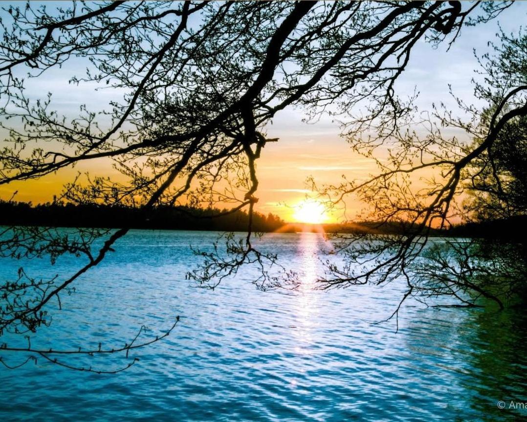 Close To The Metro And The Beach!!! With A View Of The Scandinavian Forest Sztokholm Zewnętrze zdjęcie