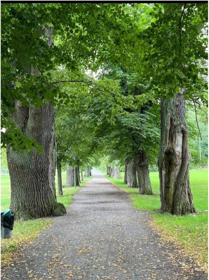 Close To The Metro And The Beach!!! With A View Of The Scandinavian Forest Sztokholm Zewnętrze zdjęcie